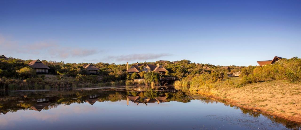 Lalibela Game Reserve - Kichaka Lodge Paterson Eksteriør bilde