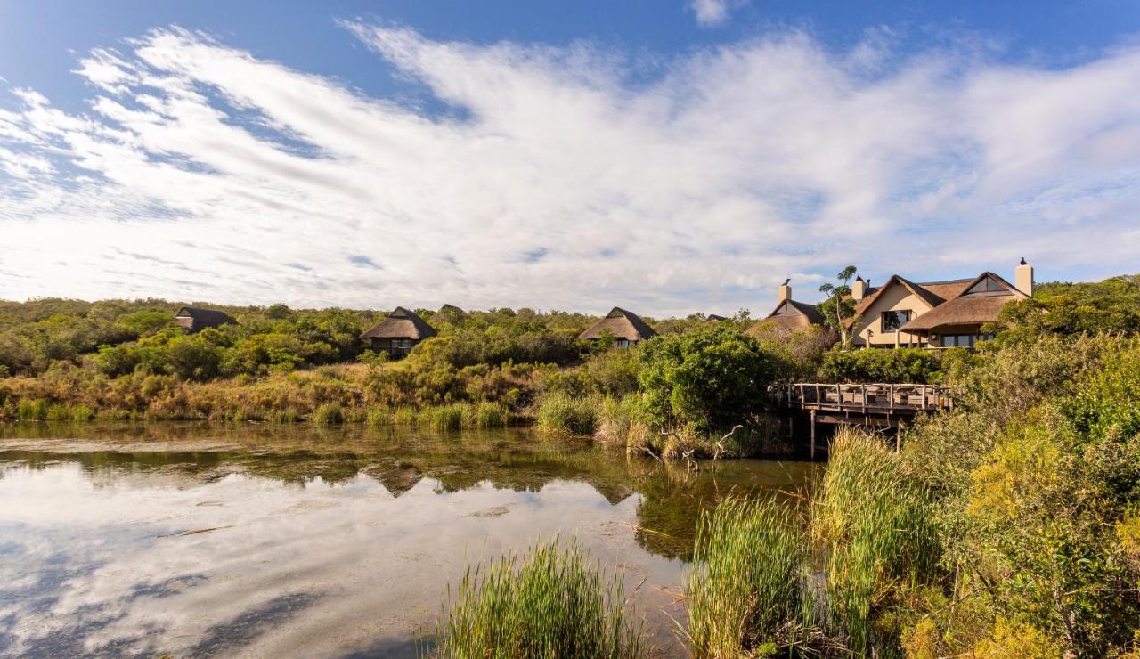 Lalibela Game Reserve - Kichaka Lodge Paterson Eksteriør bilde