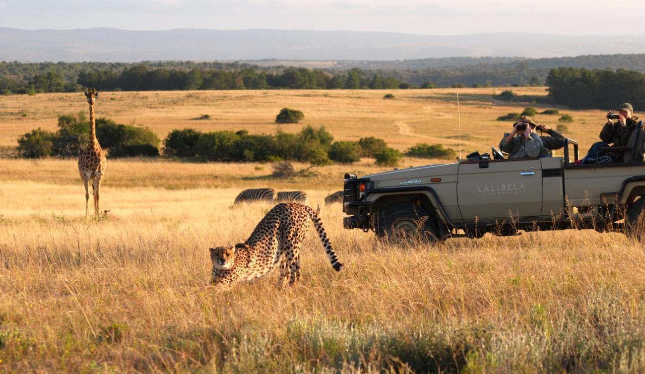 Lalibela Game Reserve - Kichaka Lodge Paterson Eksteriør bilde